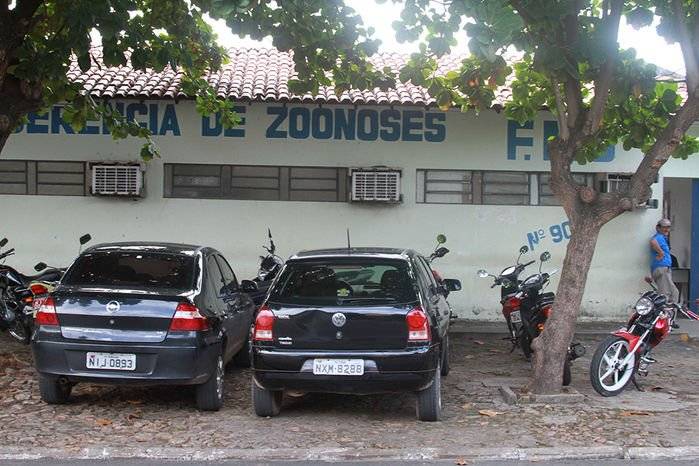 Câmara aprova projeto que proíbe extermínio de cães e gatos saudáveis por órgãos públicos